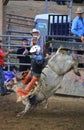 Extreme Bull Riding at rodeo